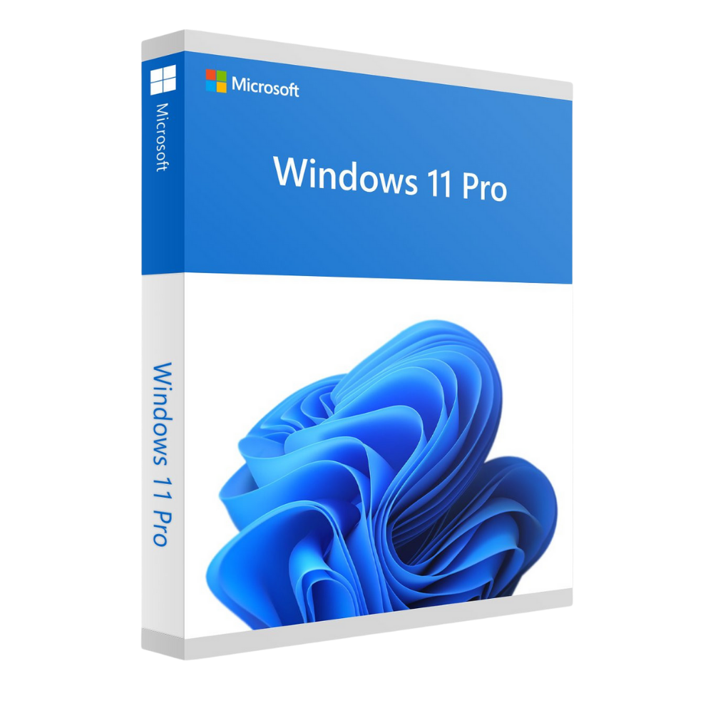Image of Windows 10/11 Pro