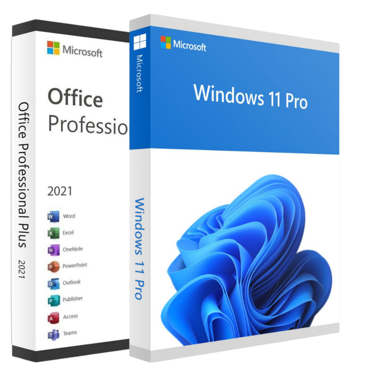 Office 2021 Professional Plus