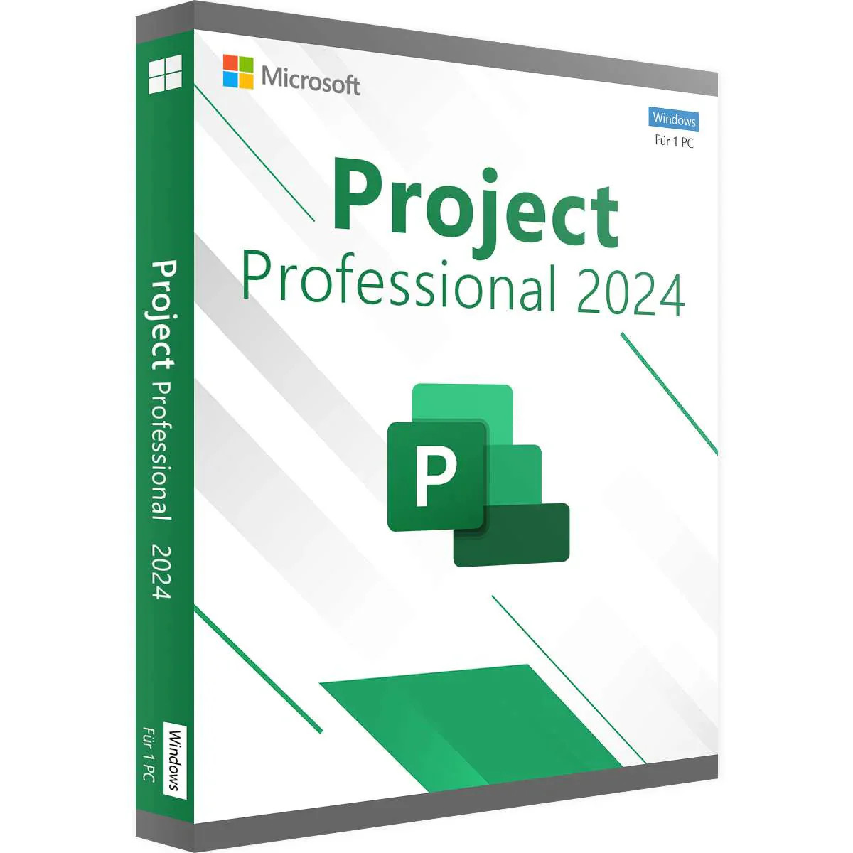 Progetto 2019 Professional